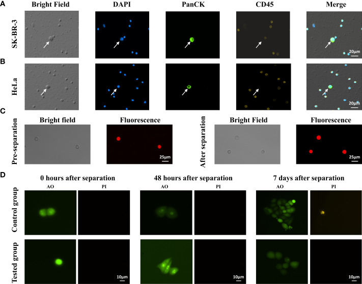 Figure 4