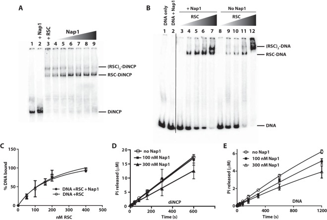 FIG 2