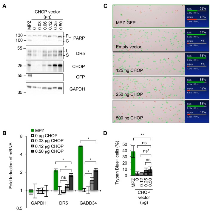 Figure 1—figure supplement 2.