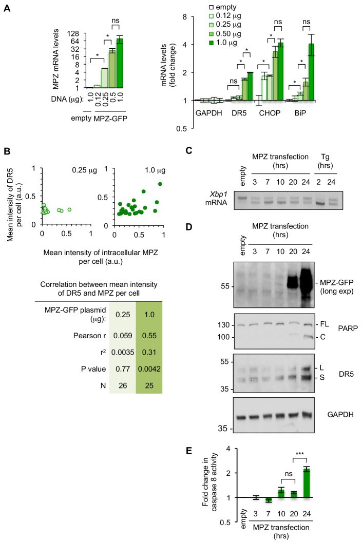 Figure 1—figure supplement 1.