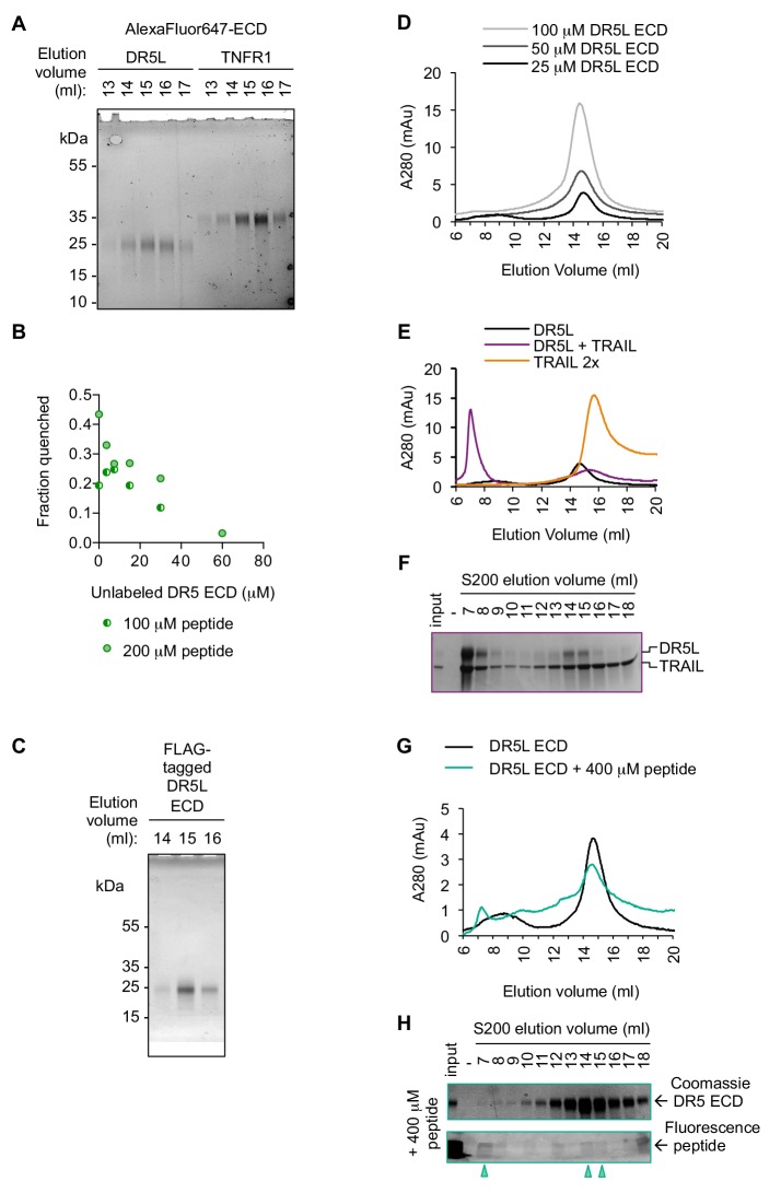 Figure 3—figure supplement 2.