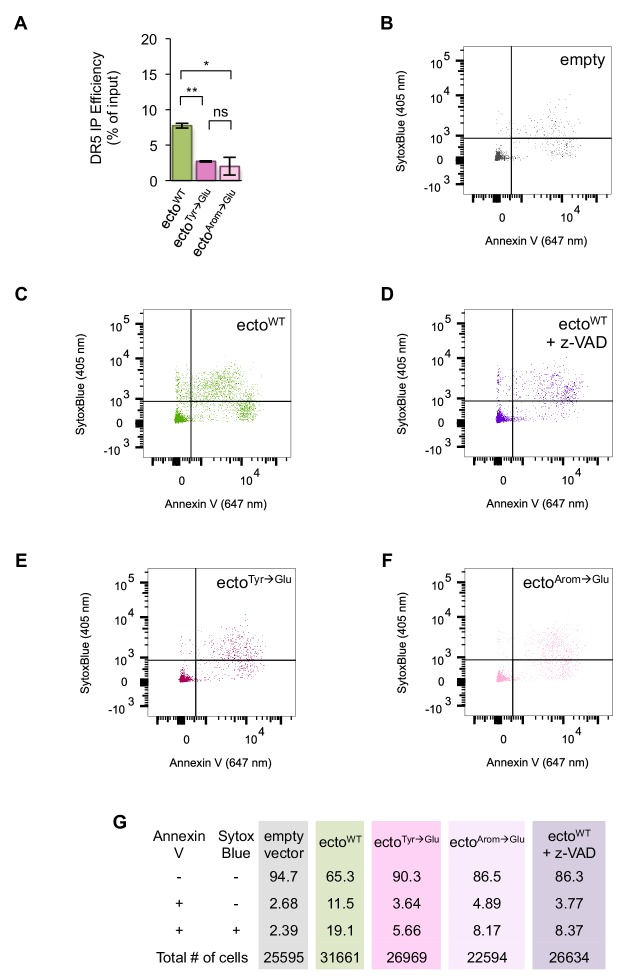 Figure 4—figure supplement 3.