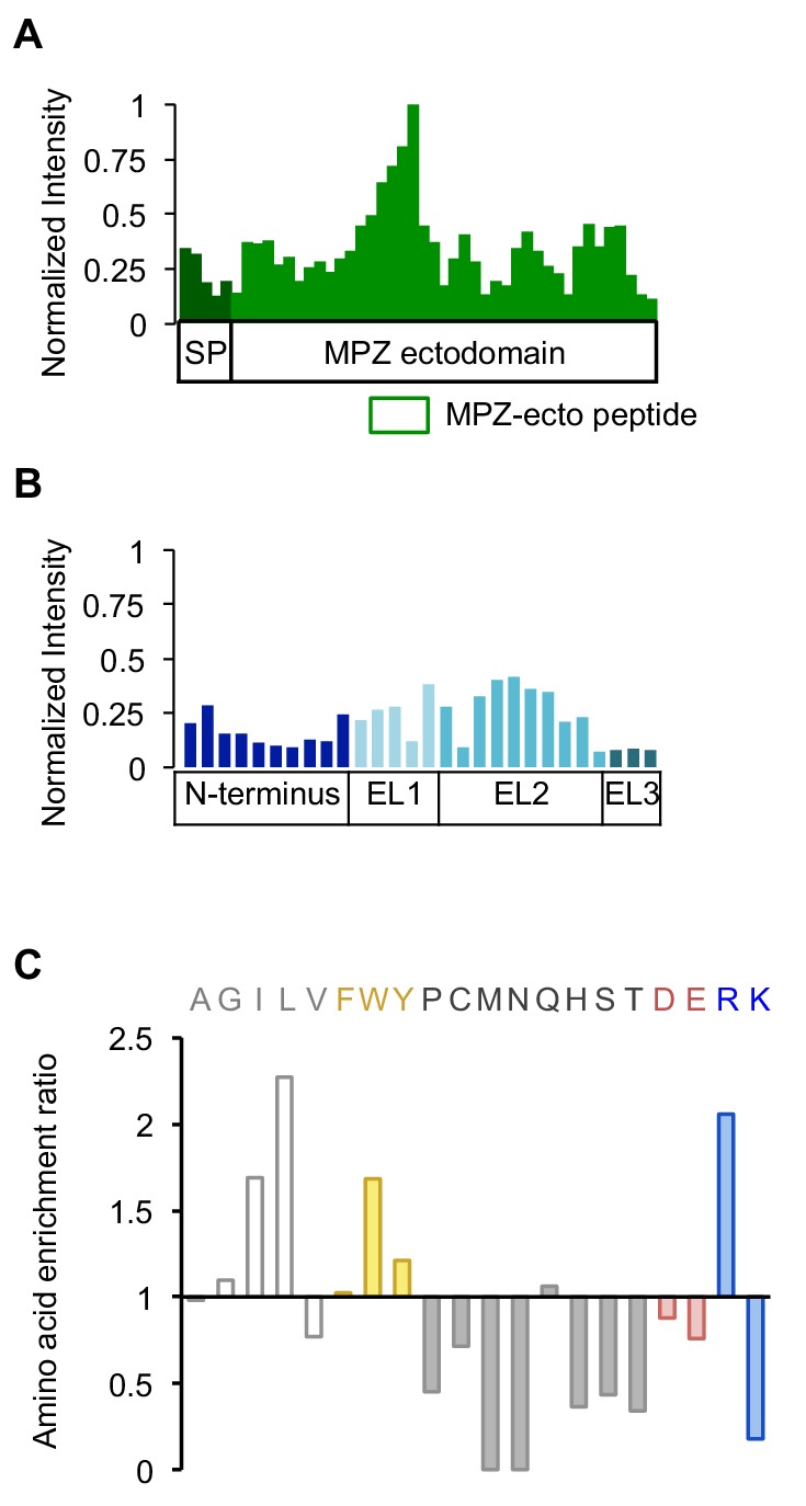 Figure 3—figure supplement 1.