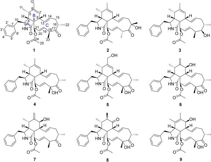 Fig. 1