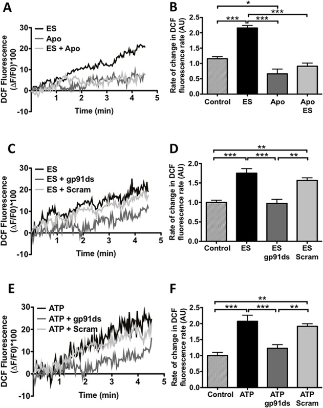 Fig 4