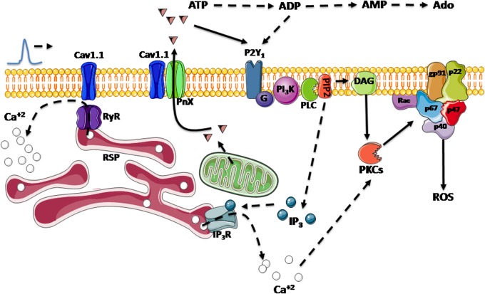 Fig 6