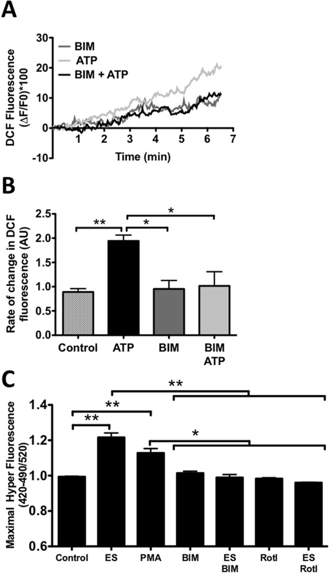 Fig 5