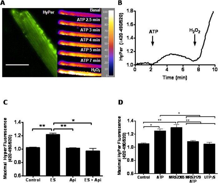 Fig 3