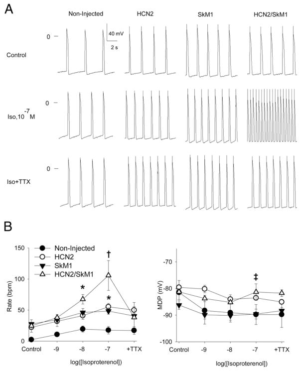 Figure 5