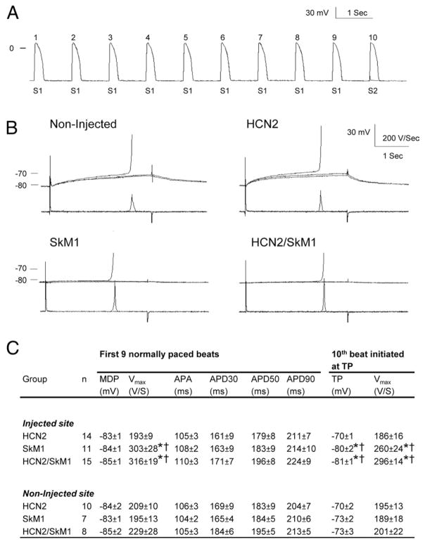 Figure 6