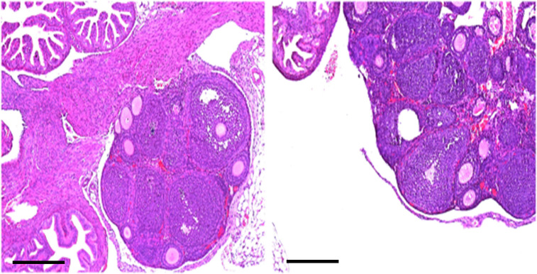 Fig 6