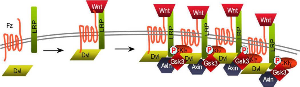 Fig. 4