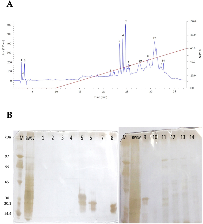 Fig. 2