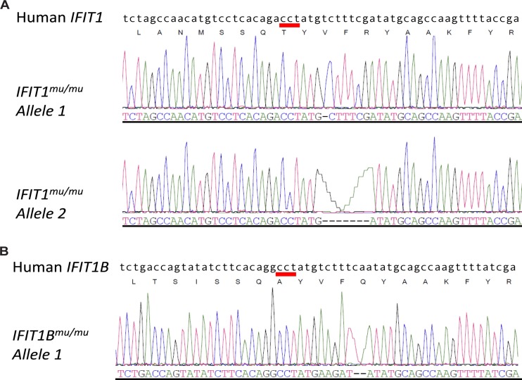 FIG 1