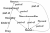 Figure 5:
