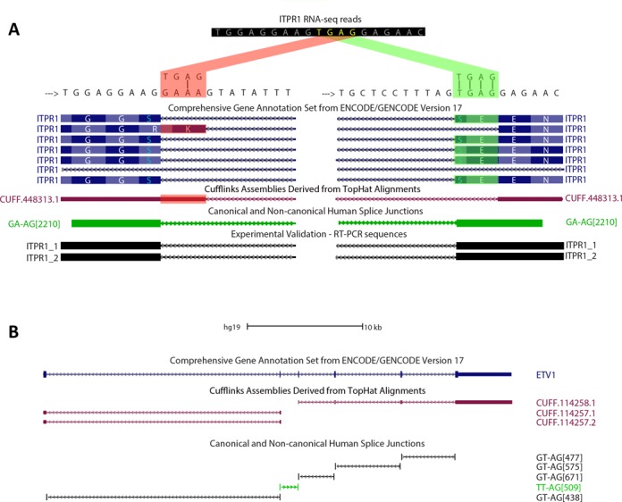 Figure 6.