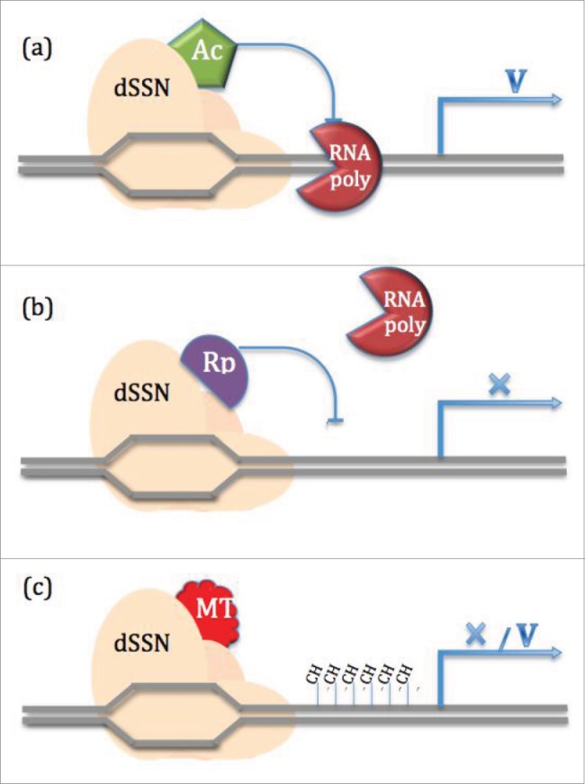 Figure 4.