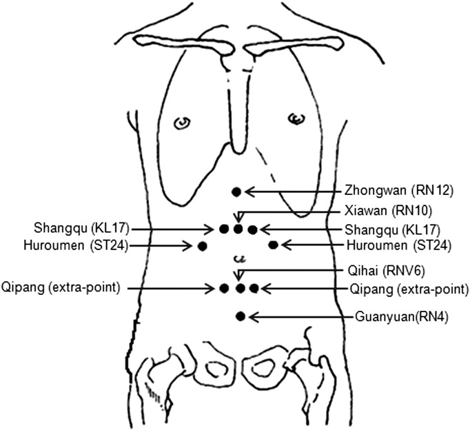 Fig. 1