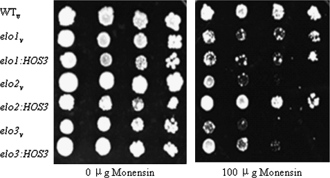 Figure 6.