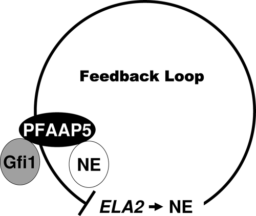 FIG. 8.