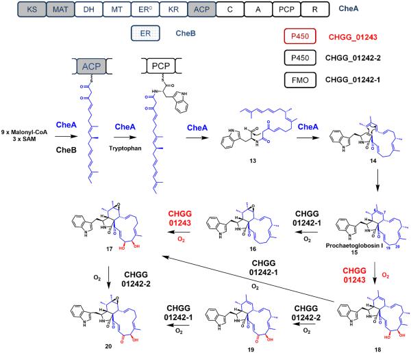 Figure 5