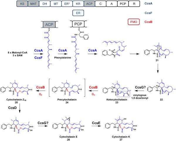 Figure 6