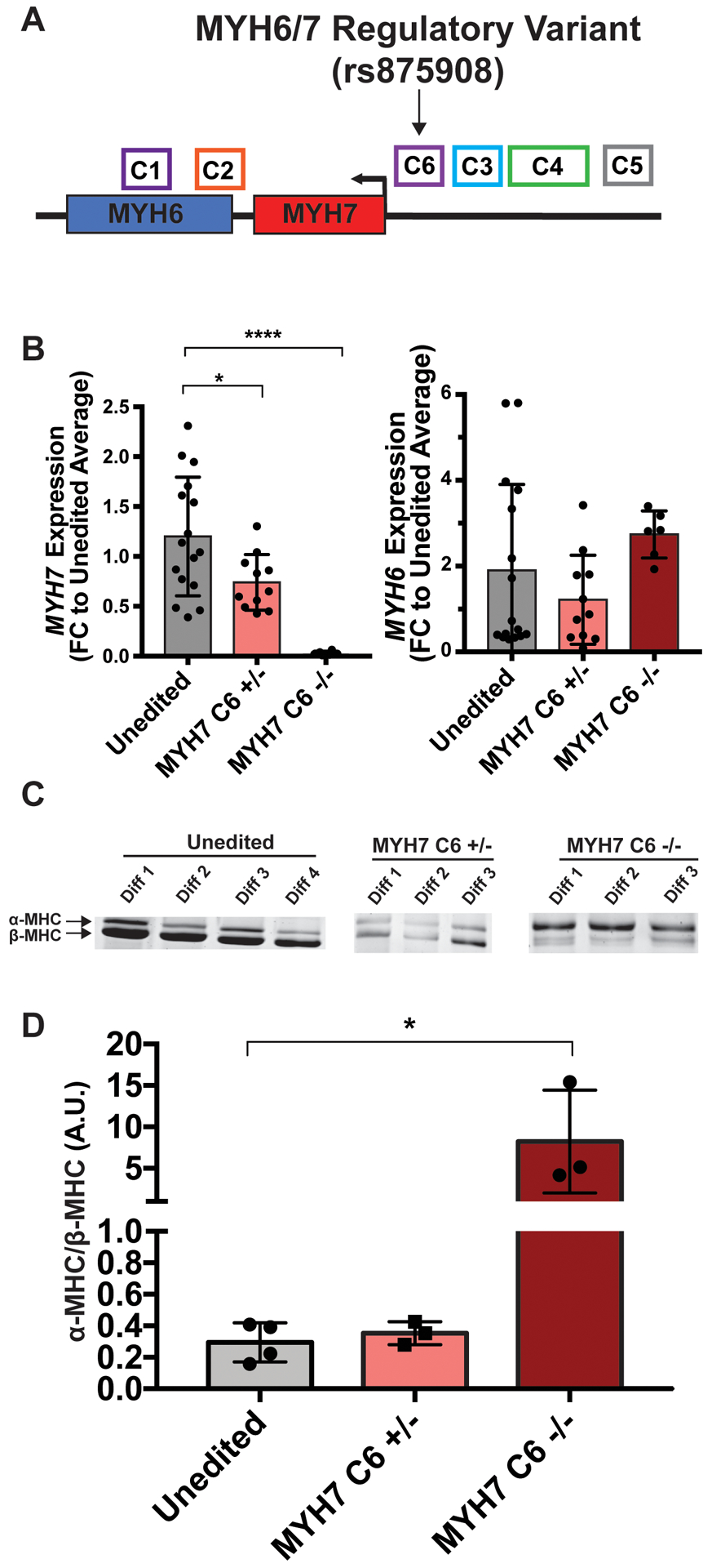 Figure 6.