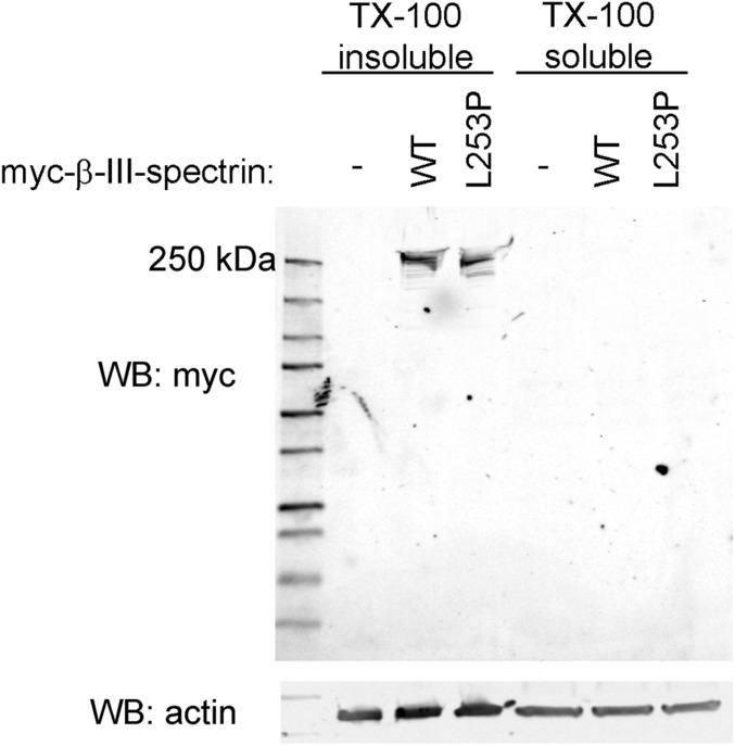 Fig. S2.