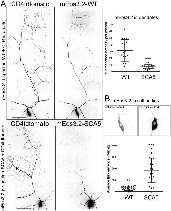 Fig. 5.