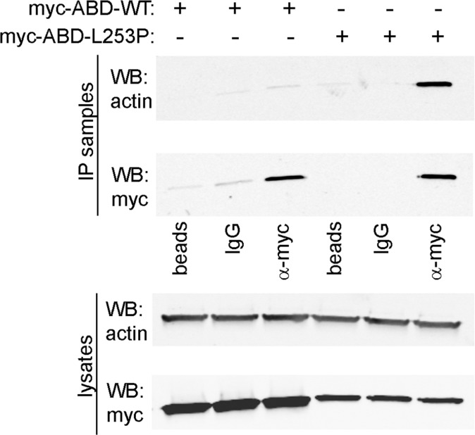 Fig. S1.