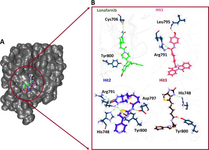 Figure 4