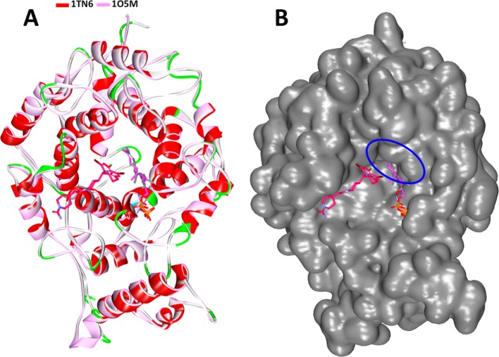 Figure 6