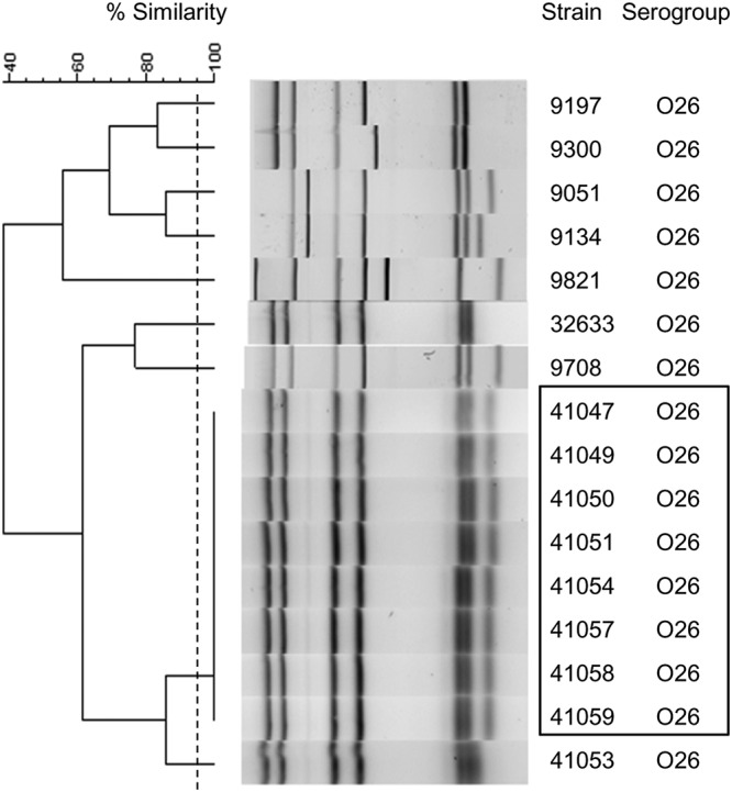 FIG 4