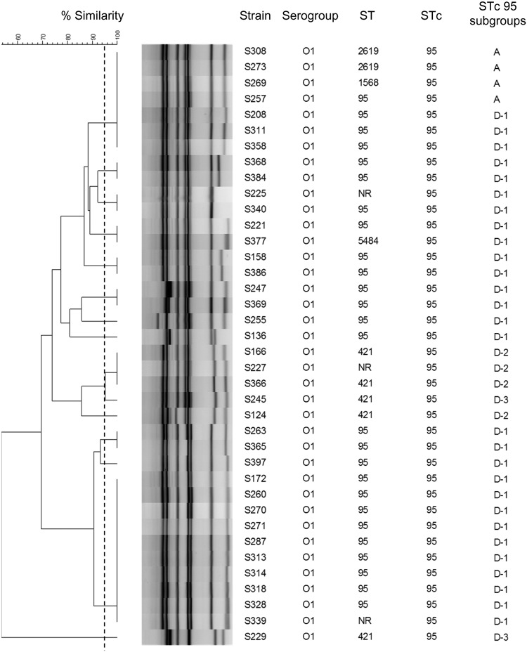 FIG 6