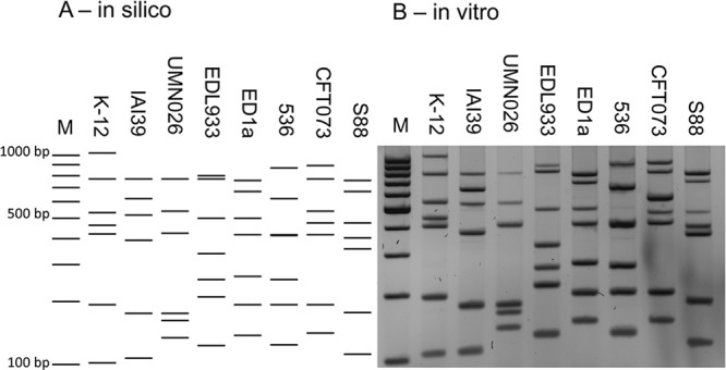 FIG 1