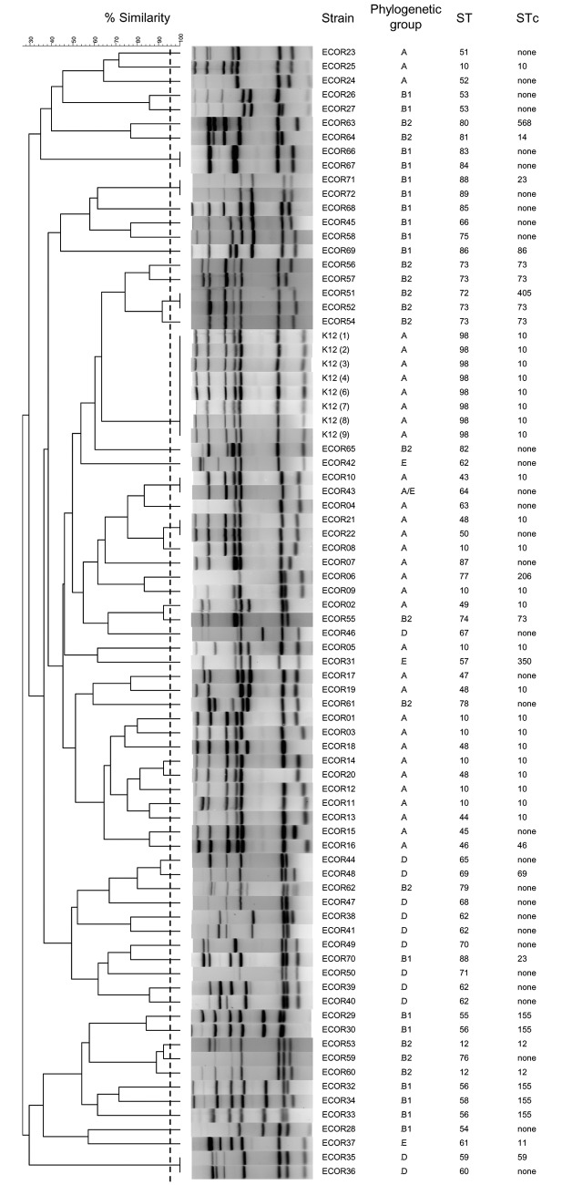 FIG 2