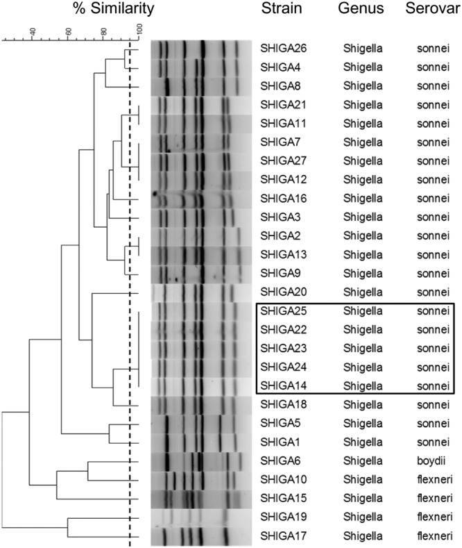 FIG 5