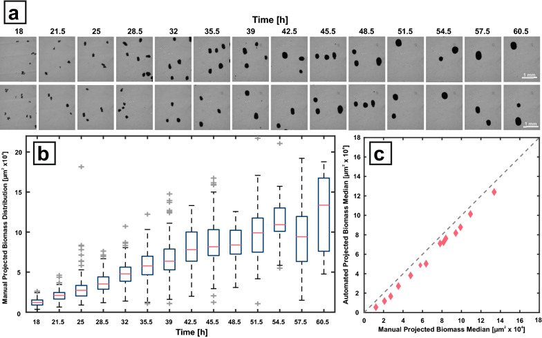 Fig. 4