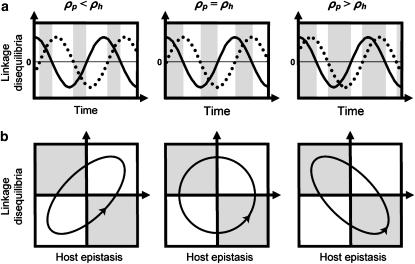 Figure 6.—