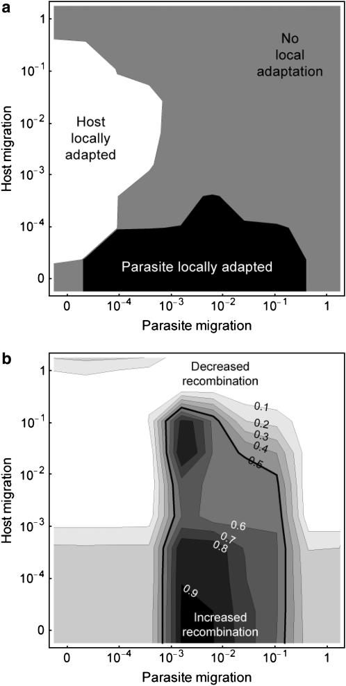 Figure 4.—