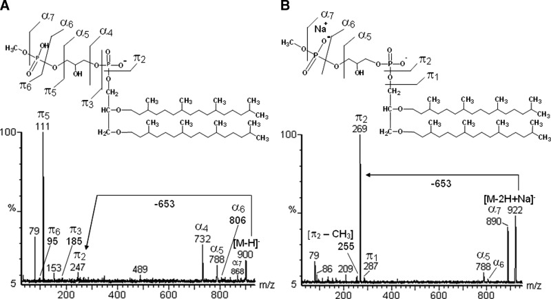 Fig. 7.