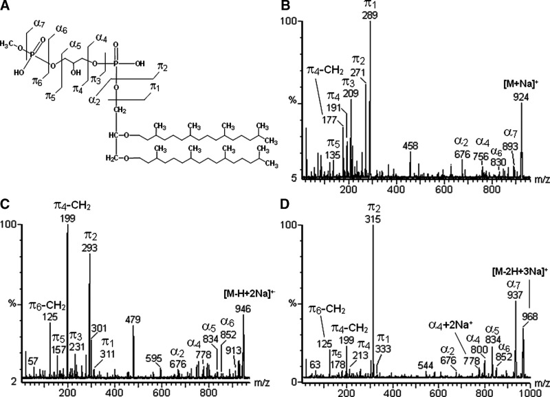 Fig. 8.