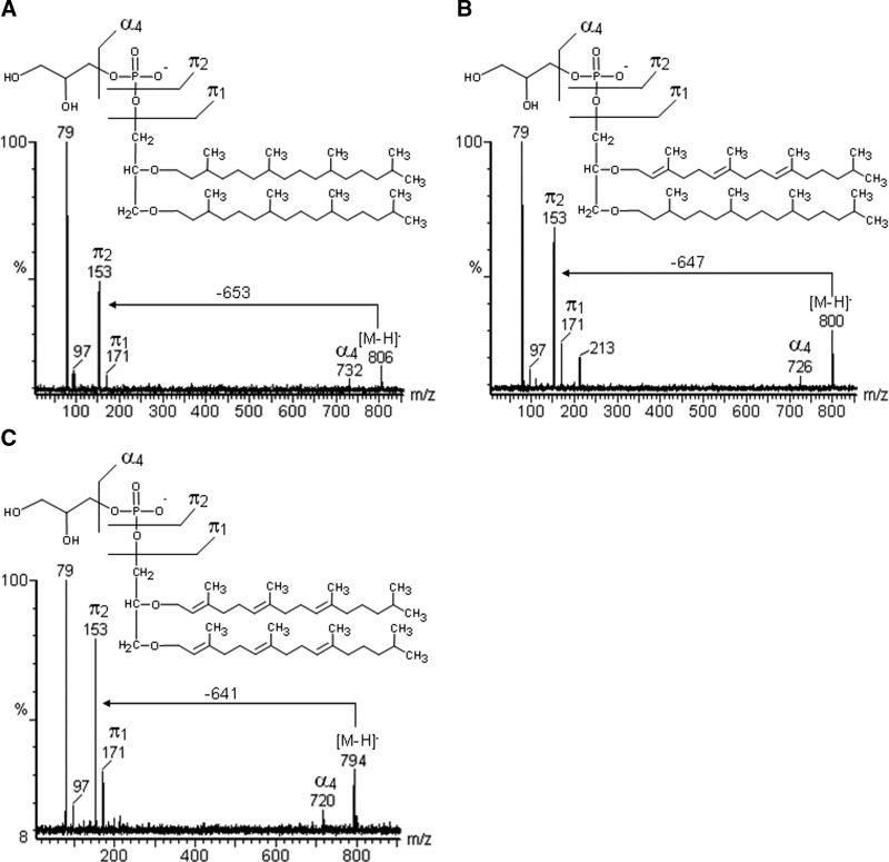 Fig. 5.