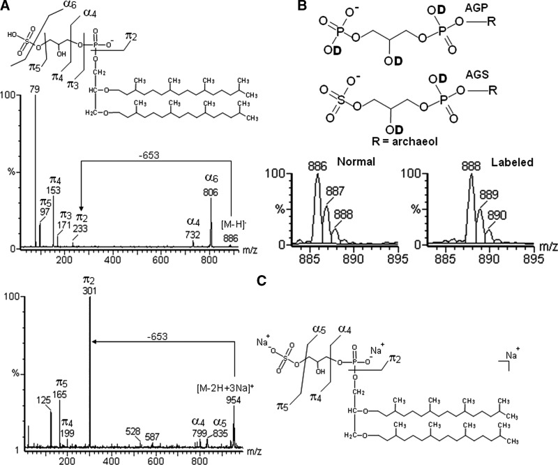 Fig. 6.