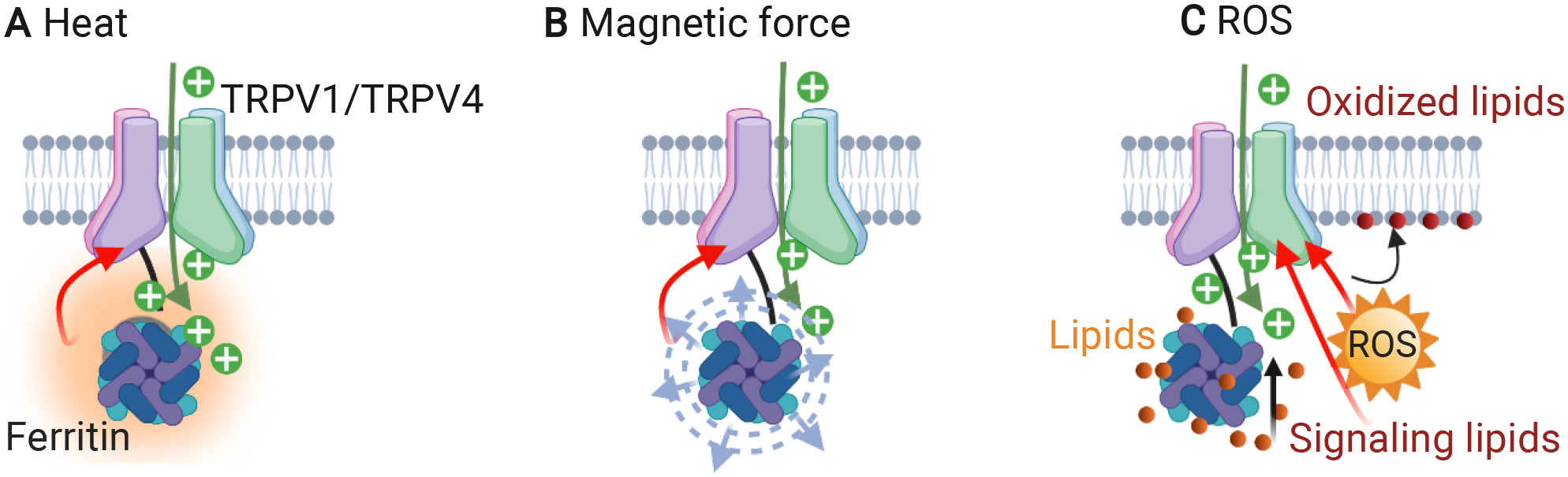 Figure 4