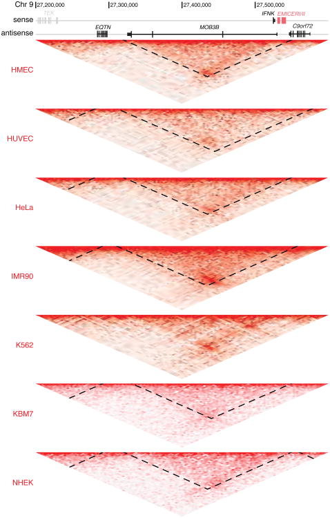 Extended Data Figure 4