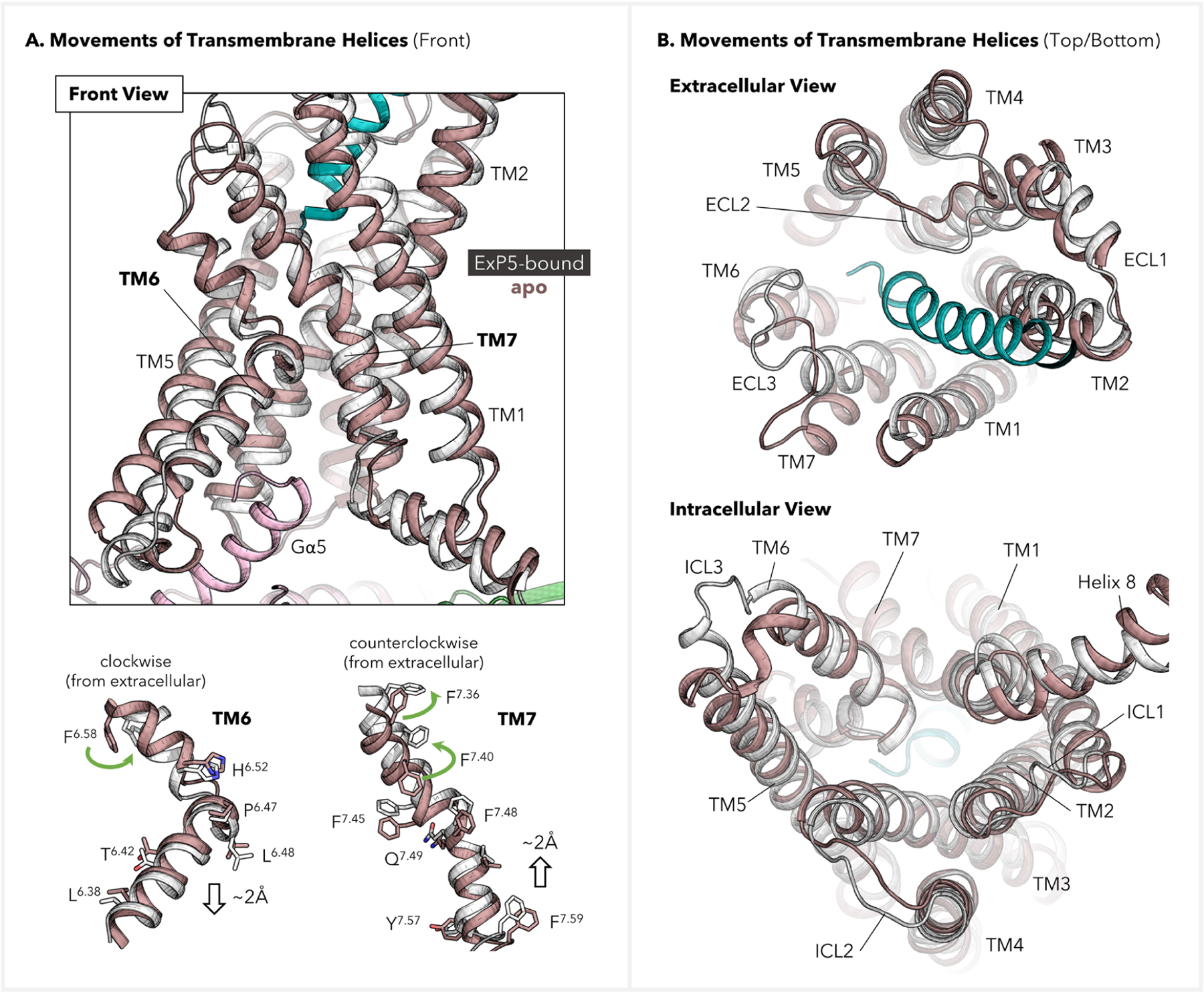 Figure 4.