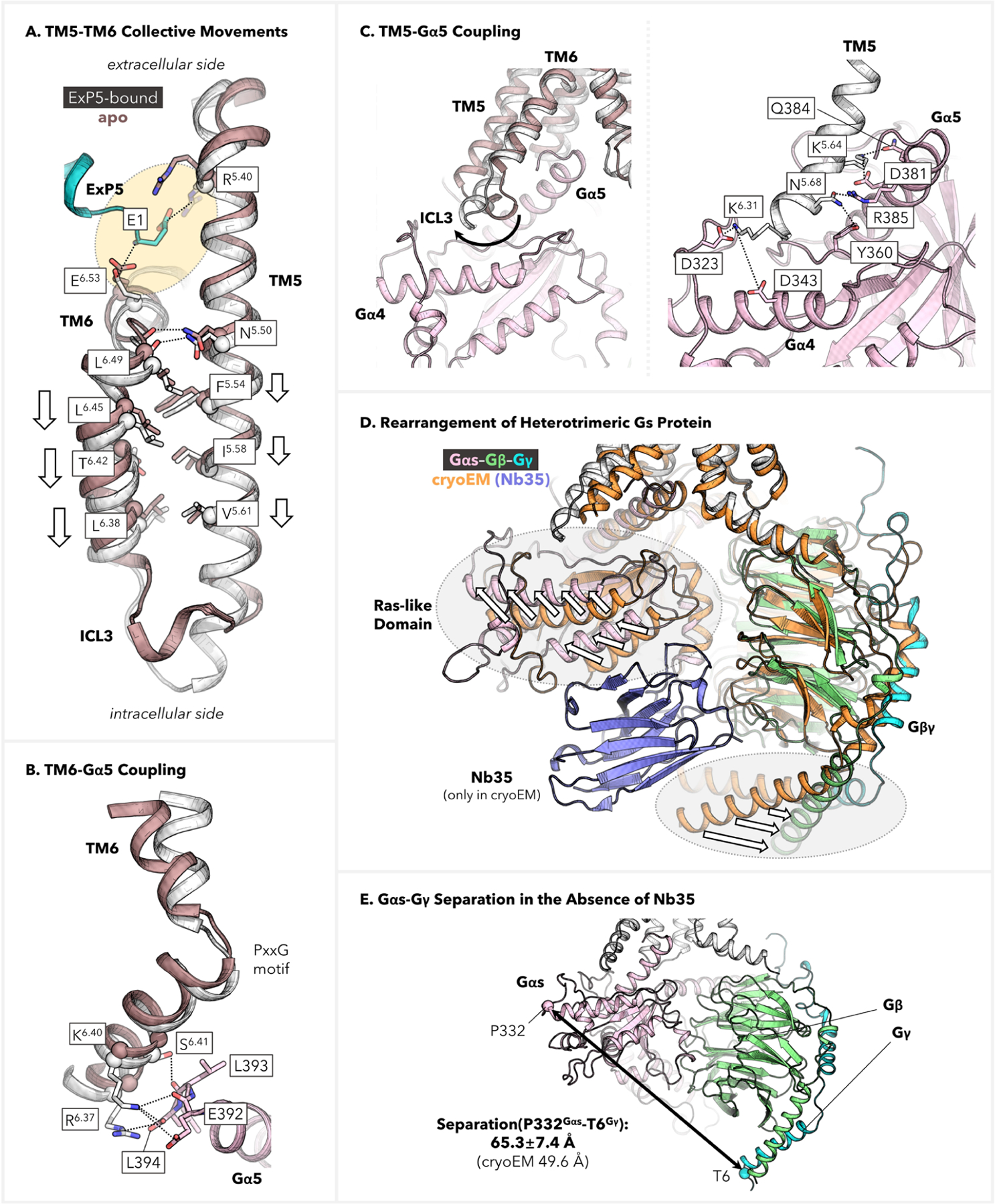 Figure 5.