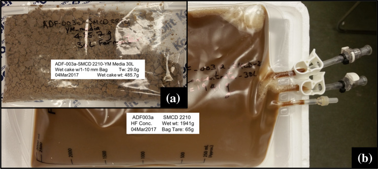 Fig. 6