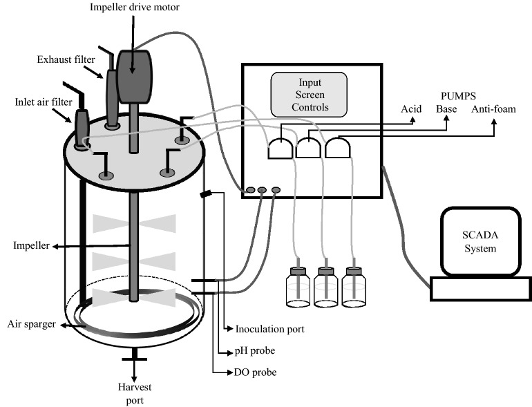 Fig. 2